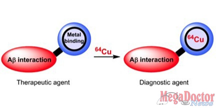 Mirica hopes to develop bifunctional compounds that can be both therapeutic and diagnostic agents. In the first role, they would block the metal-mediated formation of amyloid beta oligomers, and in the second, they would be loaded with a radioistope (Cu-64) and employed as PET imaging agents).