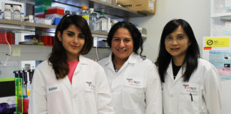 Dr. Sara Reyna, UTRGV assistant professor (at center), has received more than $400,000 from the National Institutes of Health to study the relationship between proteins in white blood cells and inflammation. With Reyna (from left) are Sarai Ramirez, a junior majoring in biology, and research associate Phoebe Fang-Mei Chang. Not pictured is research associate Daniel Acevedo. (Photo by Jennifer L. Berghom)