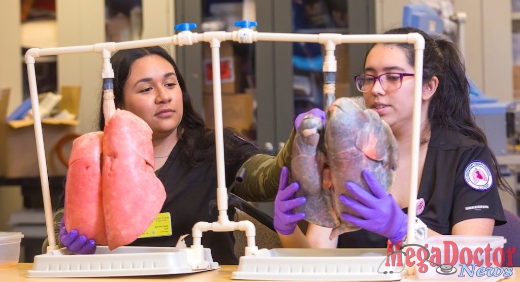 Melissa Cienega (left) and Michelle Leon display the two sets of pig lungs they will use to educate students on the dangers of smoking. The lungs on the left are normal healthy lungs, and the set on the right are lungs that have been continuously exposed to smoke. The two students from STC’s Respiratory Therapy program have been selected as regional ambassadors for a smoke-free initiative, and report for training in Washington D.C. in April.