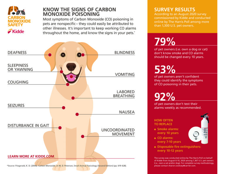 signs of carbon monoxide poisoning