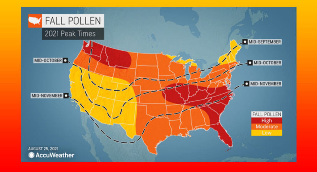 AccuWeather 2021 US Fall Allergy Forecast Mega Doctor News