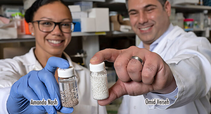 Rice University bioengineers Amanda Nash (left) and Omid Veiseh with vials of bead-like “drug factories” they created to treat cancer. The beads are designed to continuously produce natural compounds that program the immune system to attack tumors. (Photo by Jeff Fitlow/Rice University)