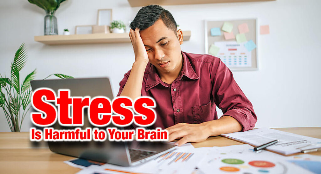 Stress damages the movement centers in the brain - Mega Doctor News