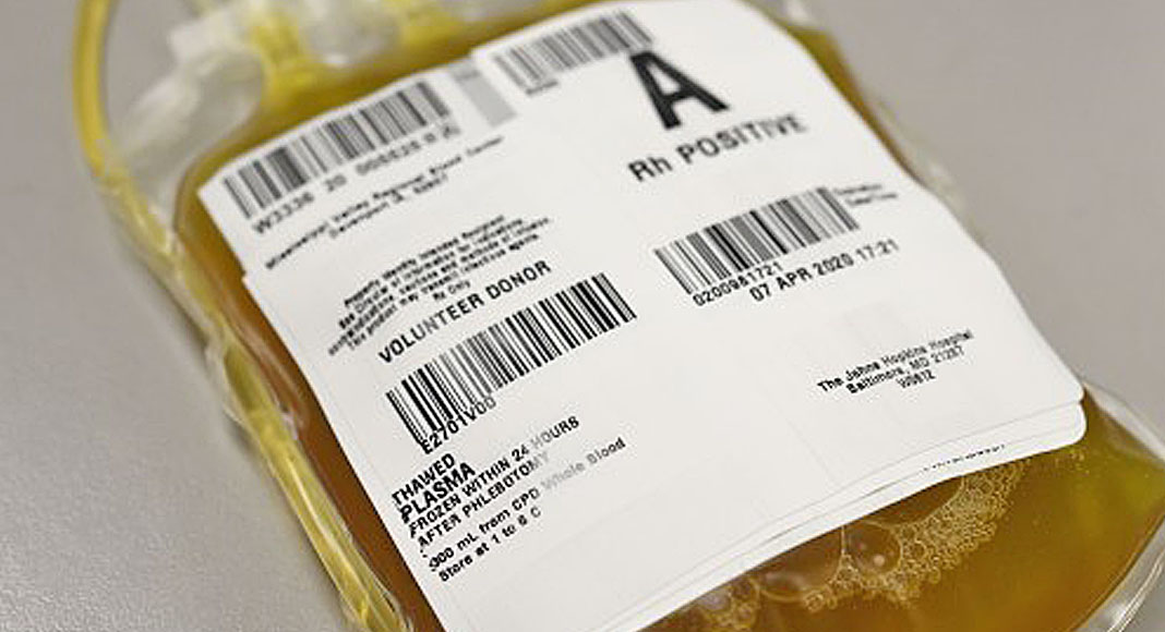A bag of antibody-rich COVID convalescent plasma after thawing. Image by: Will Kirk, Johns Hopkins University 