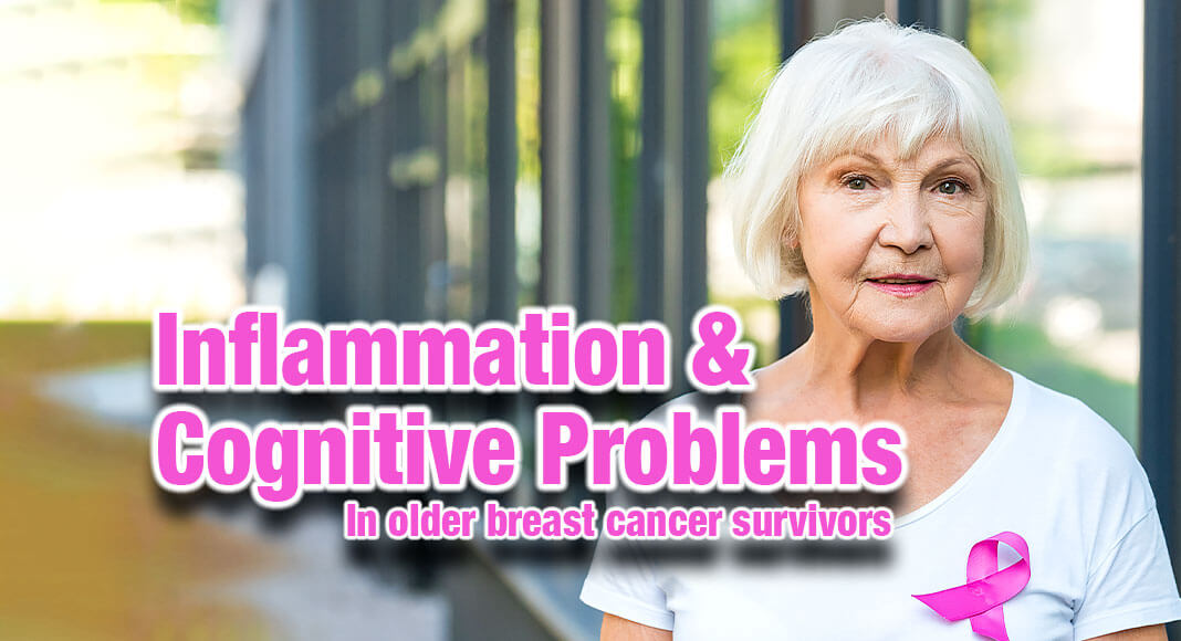 Higher levels of an inflammatory marker known as C-reactive protein (CRP) were related to older breast cancer survivors reporting cognitive problems in the new study. Image for illustration purposes