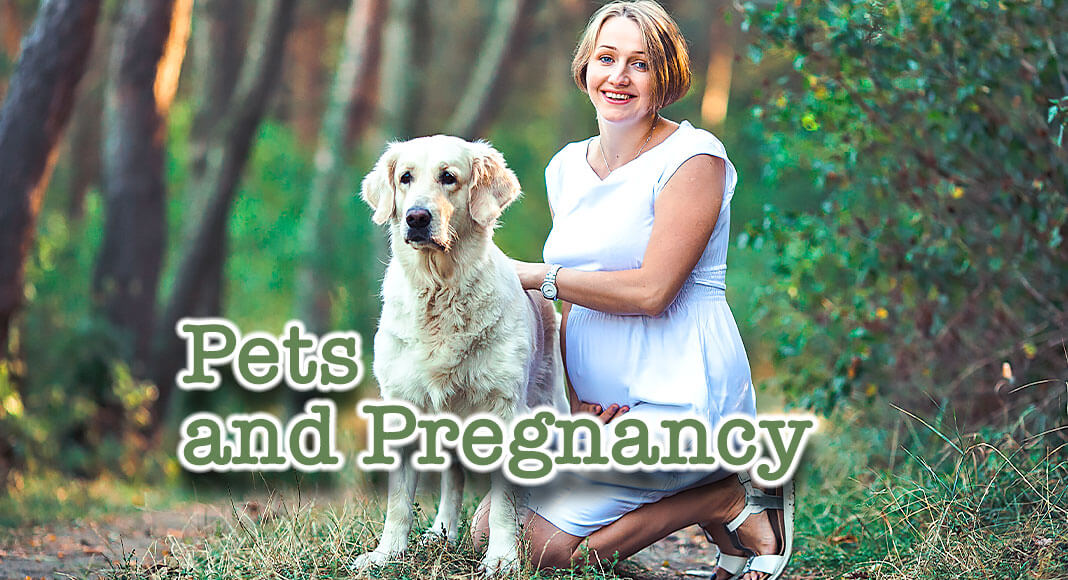 Staying Healthy Around Pets & Other Animals While Pregnant - Mega Doctor  News