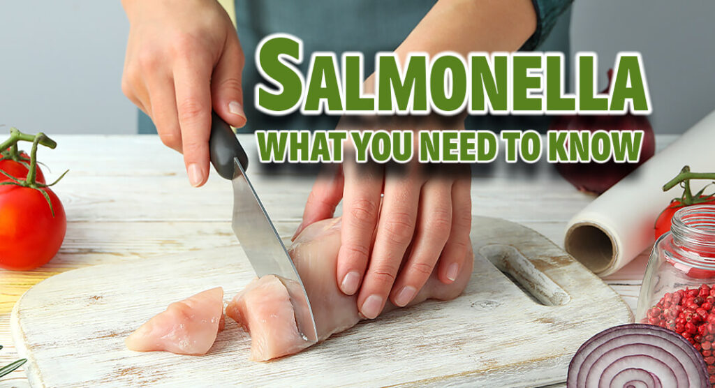 Salmonella & Food What you Need to Know Mega Doctor News