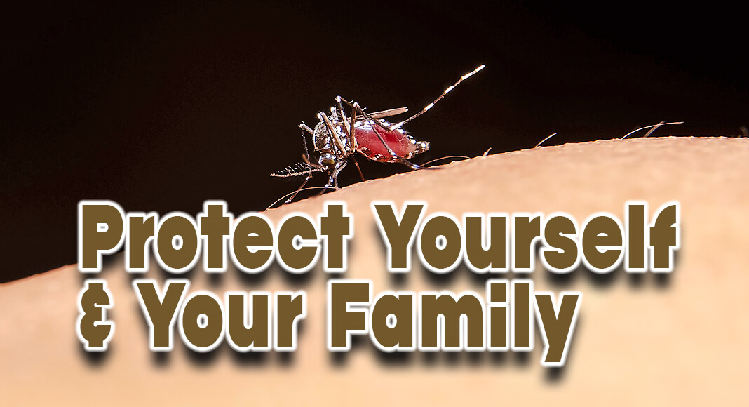 If you enjoy being outdoors, then the City of Brownsville’s Health and Wellness Department wants to ensure you take precautions to protect yourself from possible mosquito bites. Image for illustration purposes