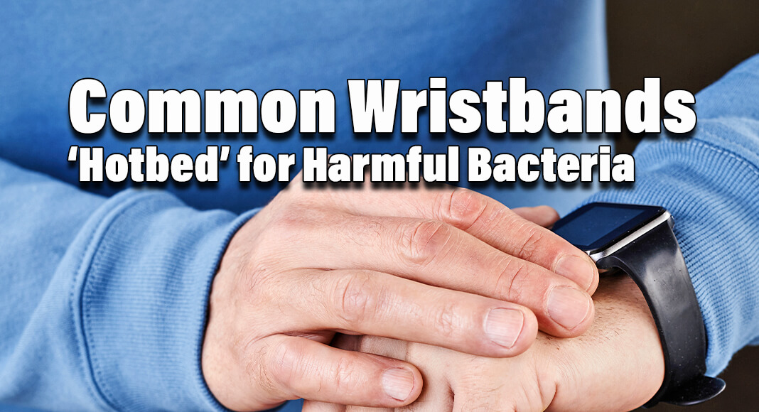 Study: Nearly All Wristbands Harboring Potentially Harmful Bacteria