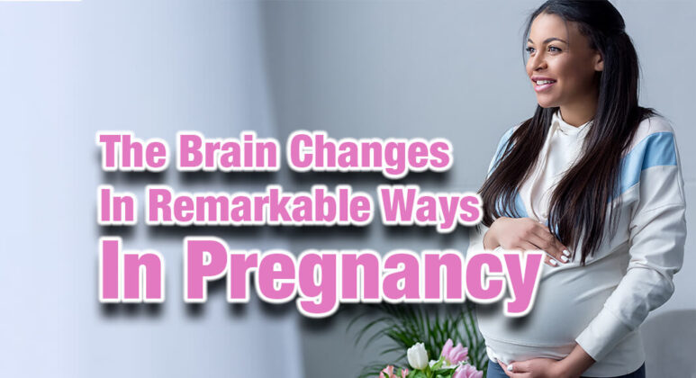 In Pregnancy, The Brain Changes in Remarkable Ways, a New Study Shows ...