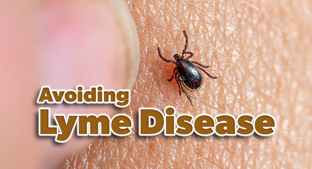 Lyme disease is primarily spread through blacklegged tick bites, which is why it’s important to be careful when you’re outside this summer. Image for illustration purposes