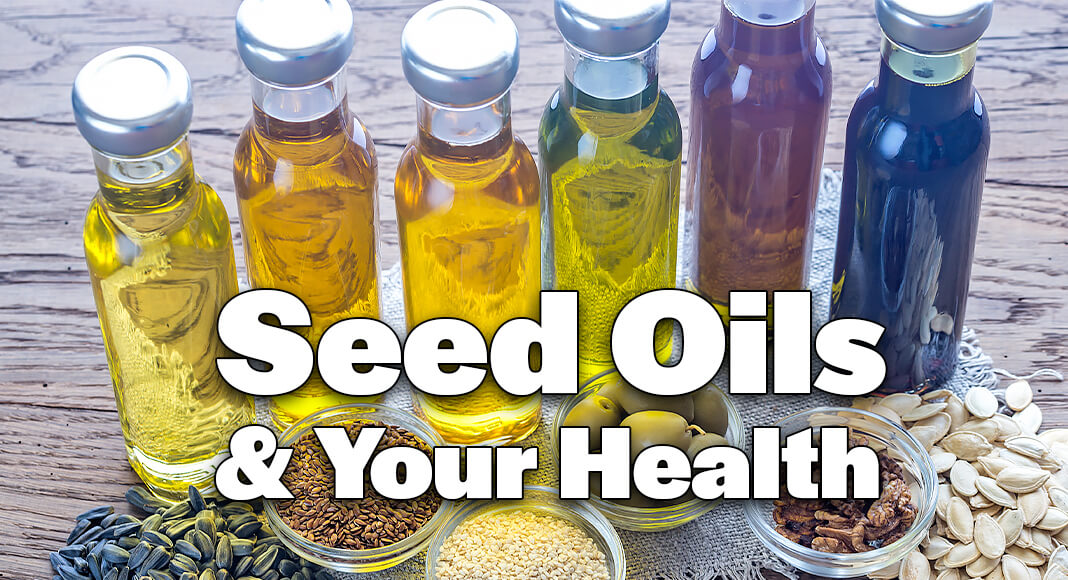 Seed oils have been a hot topic online, with many people saying to avoid them altogether. Image for illustration purposes