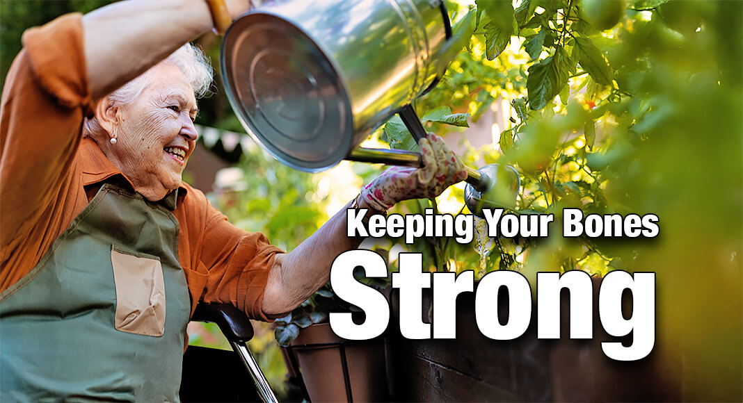 Some ideas to help strengthen your bones, include gardening, going for a walk, playing catch with your kids or grandkids, swimming, or even walking in the pool. Image for illustration purposes