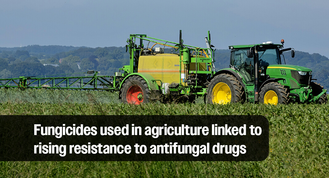 UC Davis infectious diseases experts George Thompson and Angel Desai are raising the alarm about the role new pesticides can play in building resistance to antifungal medical treatments. Photo by Mirko Fabian on Unsplash