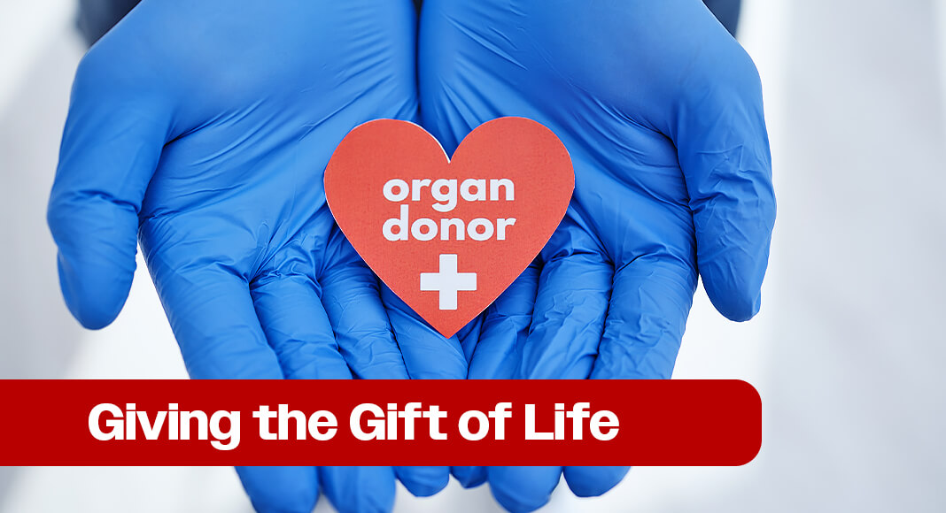 Organ donation is a powerful act of generosity and compassion. It is one that can save lives, restore health and offer hope to those facing critical illness. Image for illustration purposes