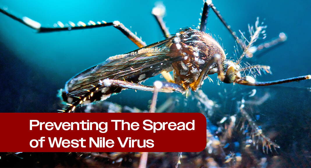 One thing to do to prevent West Nile virus and other mosquito-borne illnesses is to try to avoid mosquito bites altogether. Image for illustration purposes