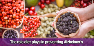 How Diet Plays a Role with Alzheimer’s Prevention