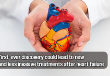 A Specific Human Gene Can Help the Heart Repair Itself from Heart Attack or Heart Failure