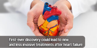 A Specific Human Gene Can Help the Heart Repair Itself from Heart Attack or Heart Failure