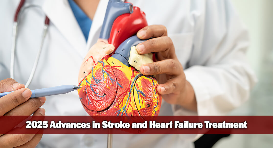 In 2025, cardiovascular investigators worldwide reported findings that could help fill important gaps in preventing and managing conditions including high blood pressure, stroke, heart failure, dangerous blood clots and aortic stenosis. Image for illustration purposes