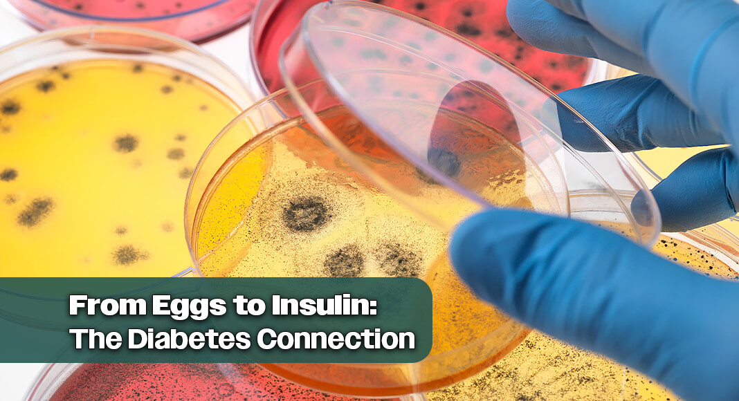 Bacteria in the gut may produce beneficial metabolites when breaking down certain foods. Image for illustration purposes