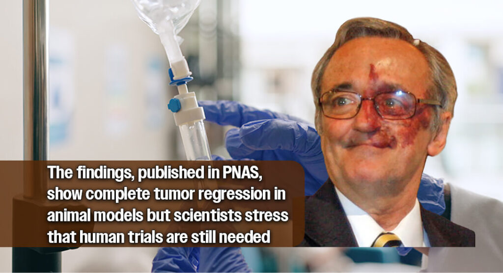 Spanish researchers eliminate pancreatic tumors in mice using a three-drug therapy