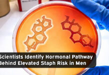 Testosterone Identified as Key Driver of Severe Staph Skin Infections