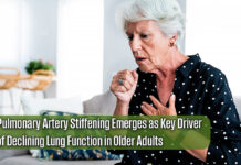 Yale Study Identifies Vascular Changes Behind Age‑Related Shortness of Breath