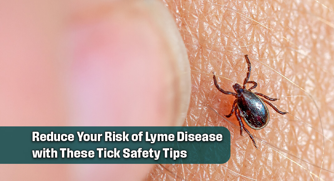 If you like to spend time outdoors, it’s important to keep an eye out for the little critters since they can carry Lyme disease. Image for illustration purposes