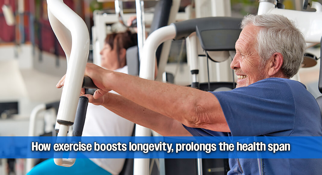 It may be common knowledge that maintaining a regular exercise routine is important to every aspect of human health. Image for illustration purposes
