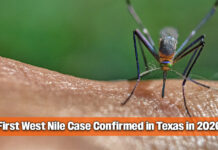 DSHS Confirms First West Nile Case in Texas in 2026