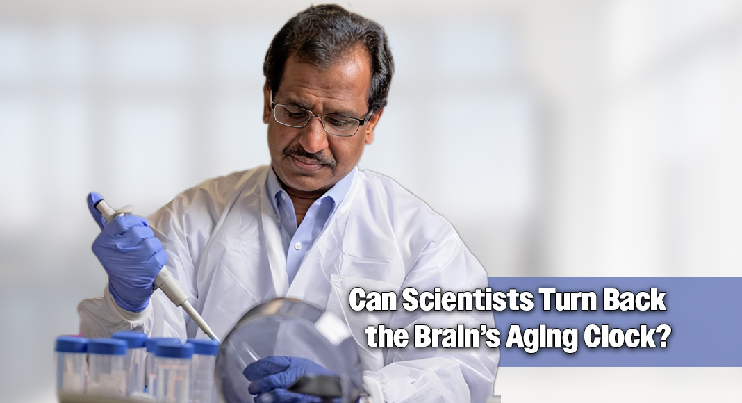 Dr. Ashok Shetty. Photo by Texas A&M Health Science Center