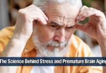 How Chronic Stress Accelerates Brain Aging