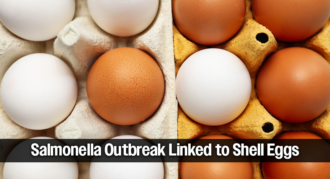 CDC, FDA, and public health officials in several states are investigating a multistate outbreak of Salmonella infections linked to shell eggs. If you have recalled shell eggs in your home or business, throw them out or return them. Image for illustration purposes